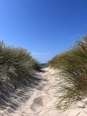 Sommer an der nordfriesischen Nordsee