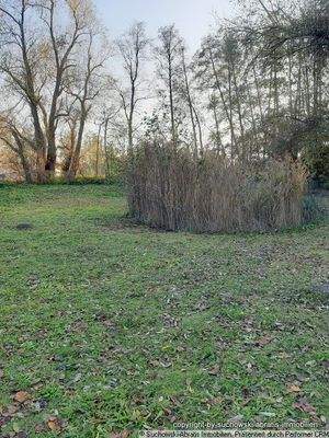 Grundstück hinten Aussicht 2