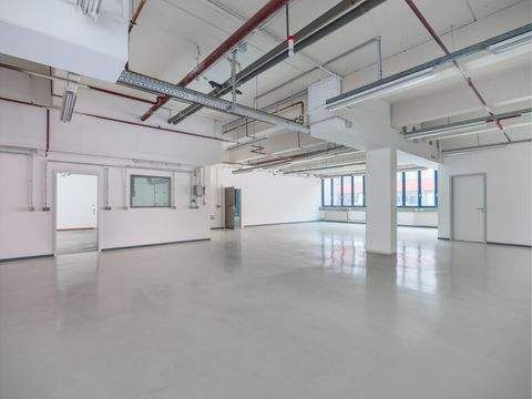 Hamburg Halle, Hamburg Hallenfläche