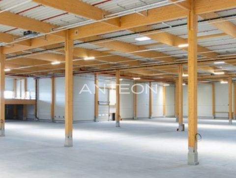 Mönchengladbach Halle, Mönchengladbach Hallenfläche