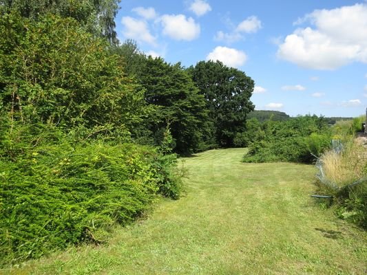 Garten / Potenzielles Baugrundstück