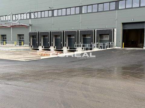 Dortmund Halle, Dortmund Hallenfläche