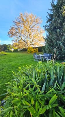 Impressionen - Großzügige Gartenanlage