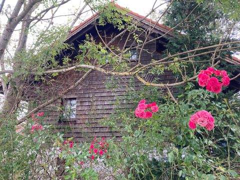 Reischach Häuser, Reischach Haus kaufen