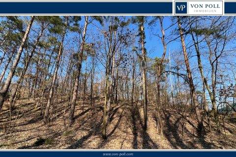 Kolberg Grundstücke, Kolberg Grundstück kaufen