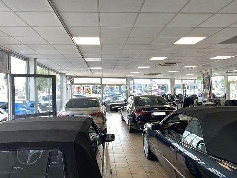 Hamburg Halle, Hamburg Hallenfläche