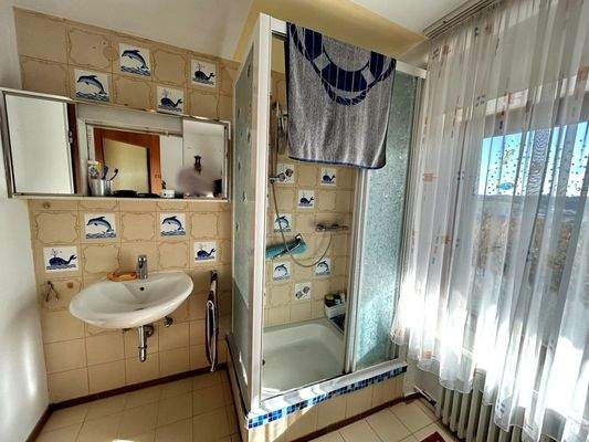 Badezimmer Hanggeschoss