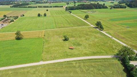 Vilgertshofen Bauernhöfe, Landwirtschaft, Vilgertshofen Forstwirtschaft