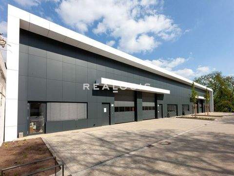 Düsseldorf Halle, Düsseldorf Hallenfläche