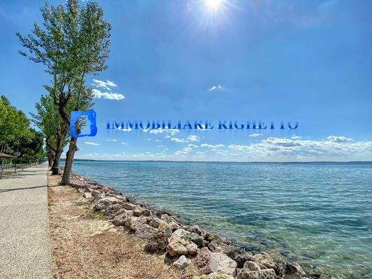 95784348_10222628817653421_7411571582327324672_n.j