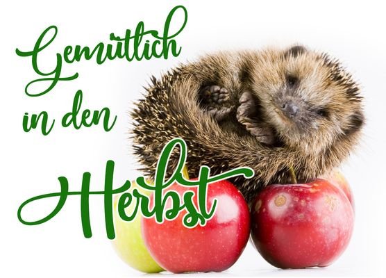 Gemütlich in den Herbst