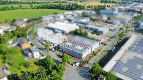 Hennef Halle, Hennef Hallenfläche