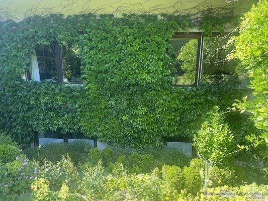 Abböschung vor Räumen im KG