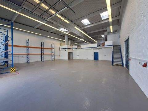 München Halle, München Hallenfläche