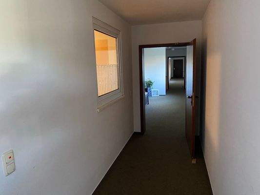 mit Teppich ausgestatteter Hausflur 