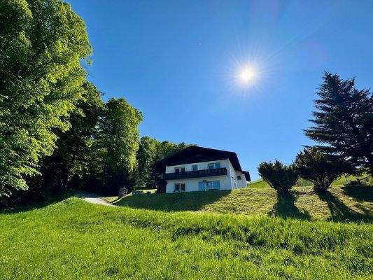 Am Ende einer Sackgasse