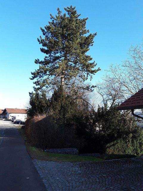 Wegscheid Häuser, Wegscheid Haus kaufen