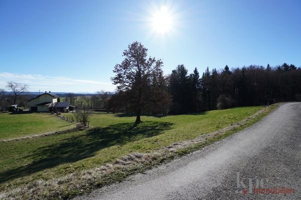 Feld- und Waldweg Süden