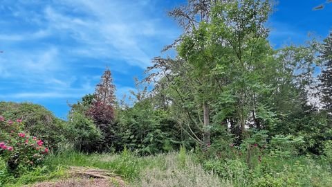 Halstenbek Grundstücke, Halstenbek Grundstück kaufen