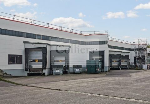 Langenhagen Halle, Langenhagen Hallenfläche