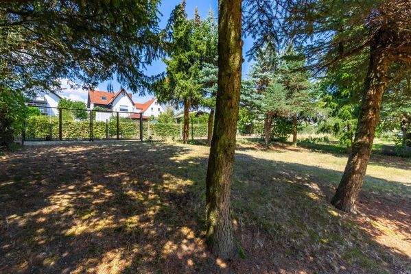 IMAXX_Giessen_oberes_Grundstück