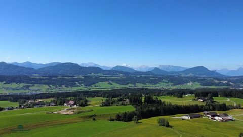 Thalgau Grundstücke, Thalgau Grundstück kaufen