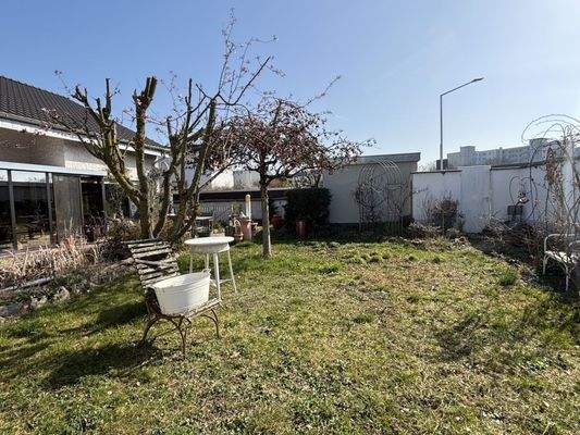 Blick in den Garten 2