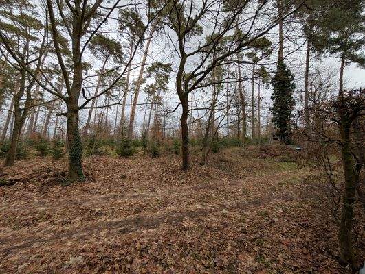 Grundstücksrückseite