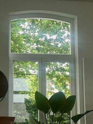 Blick aus dem Wohnbereich 