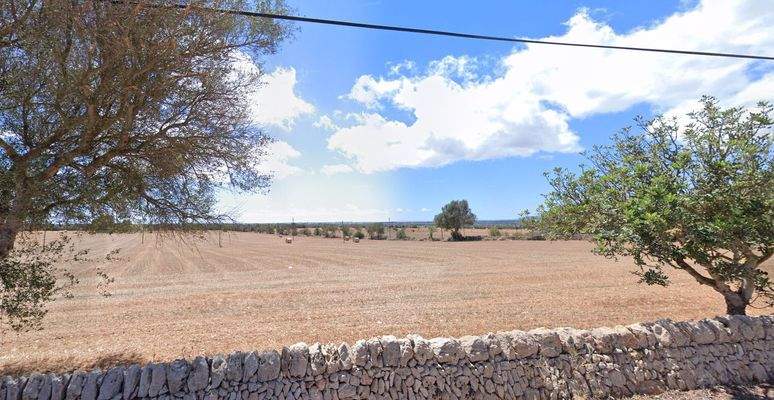 Captura de pantalla 2024-12-17 191419