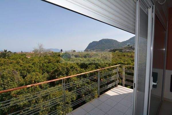 img_5063b0ed-0ef6-454d-aa90-c8f06bdfb745