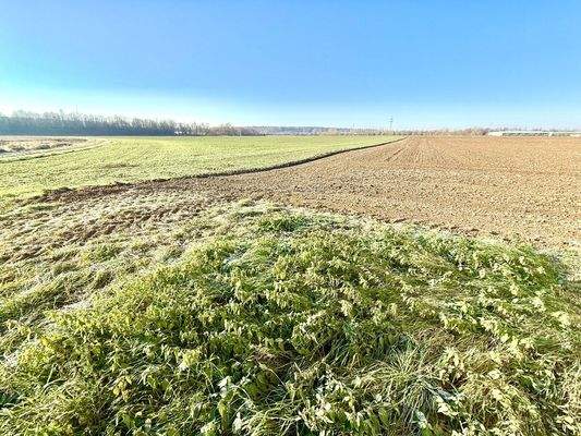 Die Natur vor Ihrer Haustür