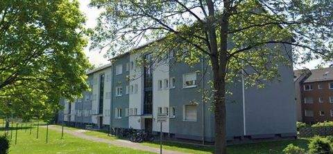 Köln Wohnungen, Köln Wohnung mieten