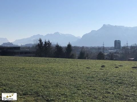 Salzburg Industrieflächen, Lagerflächen, Produktionshalle, Serviceflächen