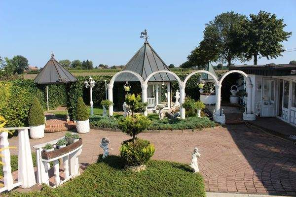 Blick in den hinteren Garten