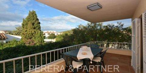 Cala Ratjada Wohnungen, Cala Ratjada Wohnung mieten