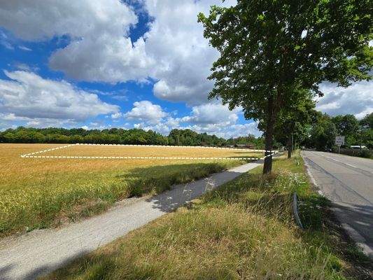 Grundstück neben Fasangartenstraße