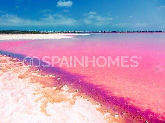 3-Bedroom Houses with Pool Close to All Amenities in Torrevieja