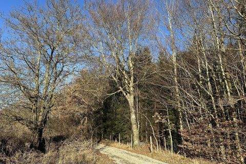 Schwifting Bauernhöfe, Landwirtschaft, Schwifting Forstwirtschaft