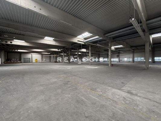 Innenansicht Hallenfläche