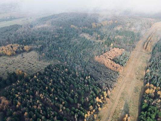 Blick von Süden auf das Revier