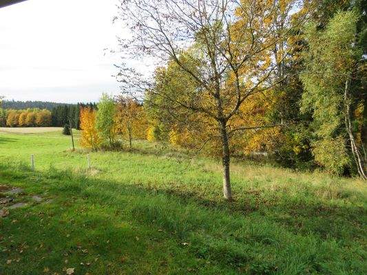 Blick über das Grundstück