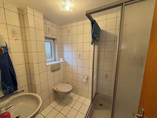 EG Apartment 2 Badezimmer 2