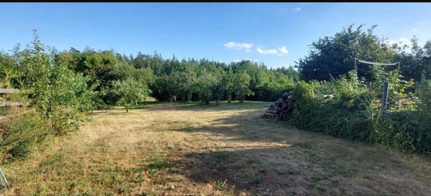 Garten.jpg