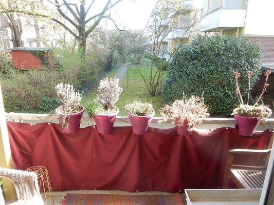 Ausblick vom Balkon.JPG