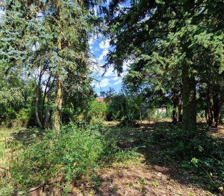 Blick auf`s Grundstück