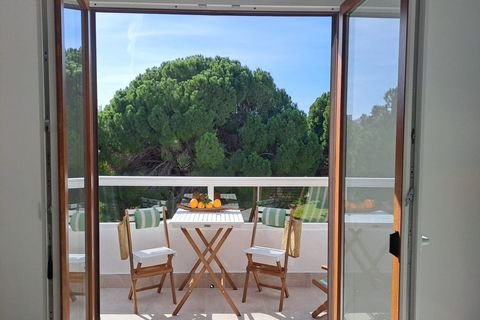 Cala D'Or Wohnungen, Cala D'Or Wohnung kaufen