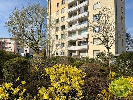 Grünflächen und Bäumen.