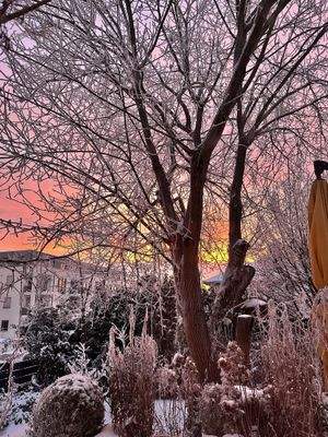 Trier-Kürenz-Petrisberg