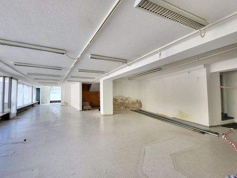 Wörth an der Donau Halle, Wörth an der Donau Hallenfläche